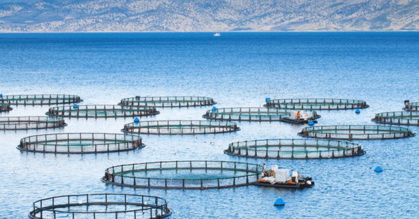 mkt-aquaculture